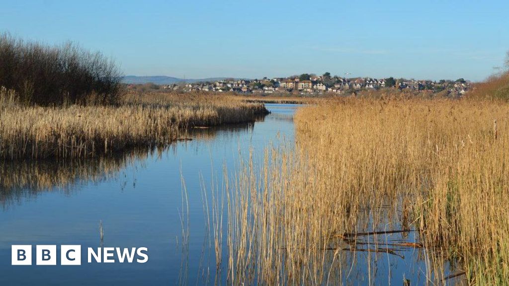 You are currently viewing Radipole Lake set for weed and reed clear out to boost flow