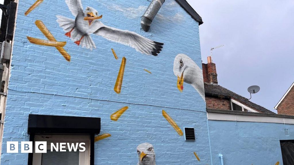 You are currently viewing Somerset in Pictures: Thieving seagulls and pumpkins