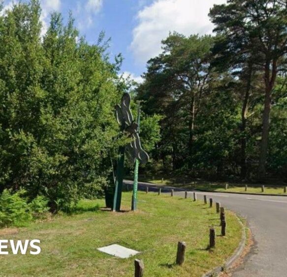 Power cut hits homes and shuts Moors Valley Country Park