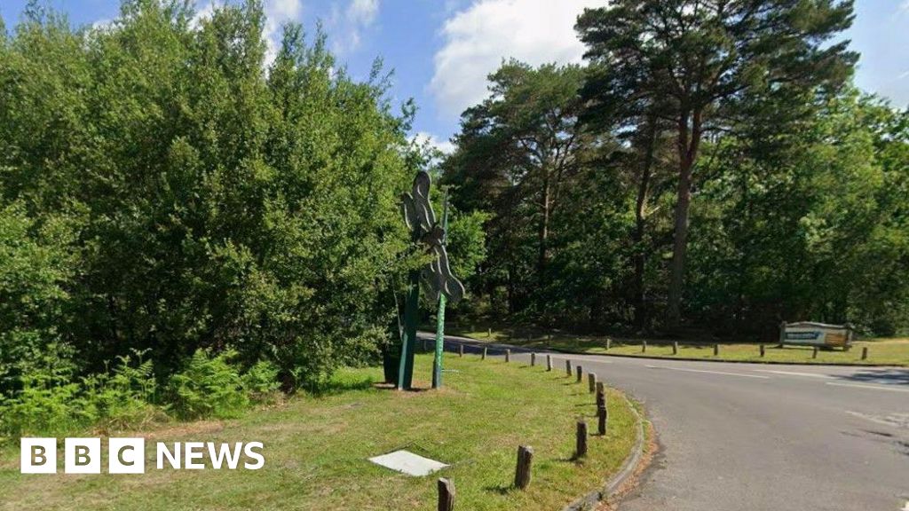 You are currently viewing Power cut hits homes and shuts Moors Valley Country Park