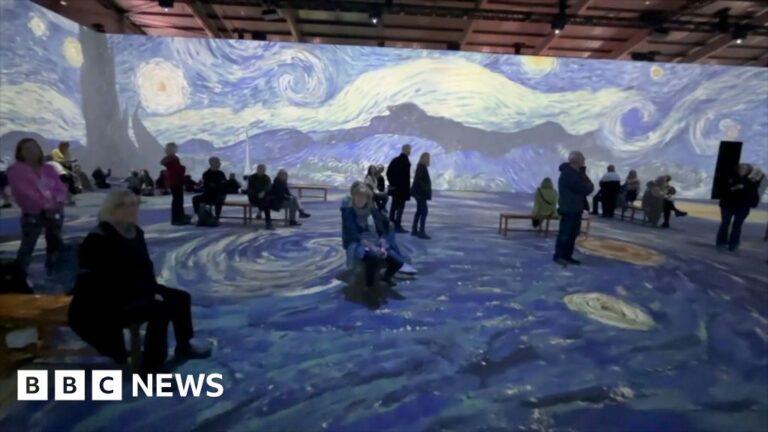 Read more about the article What do visitors think of the Van Gogh experience in Exeter?