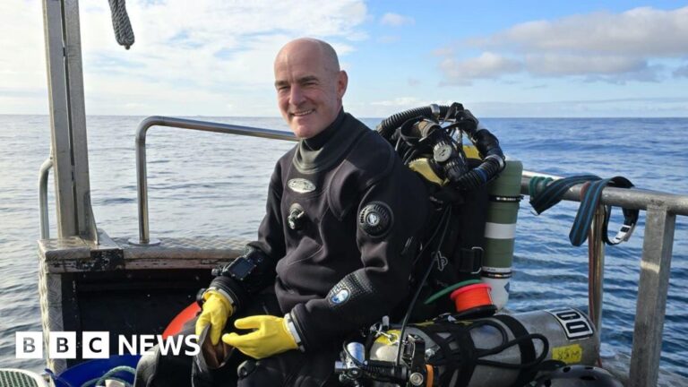 Read more about the article Diver thought to have identified wreck of steamship lost in 1869