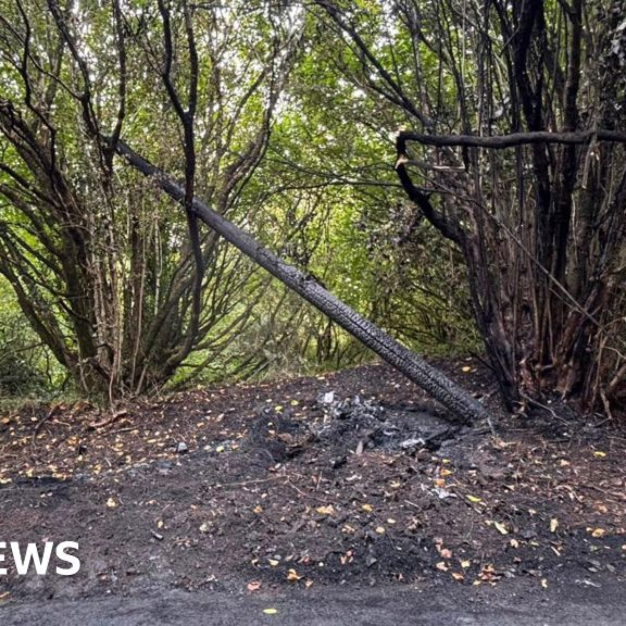 Beaminster broadband set to return after car crash outage