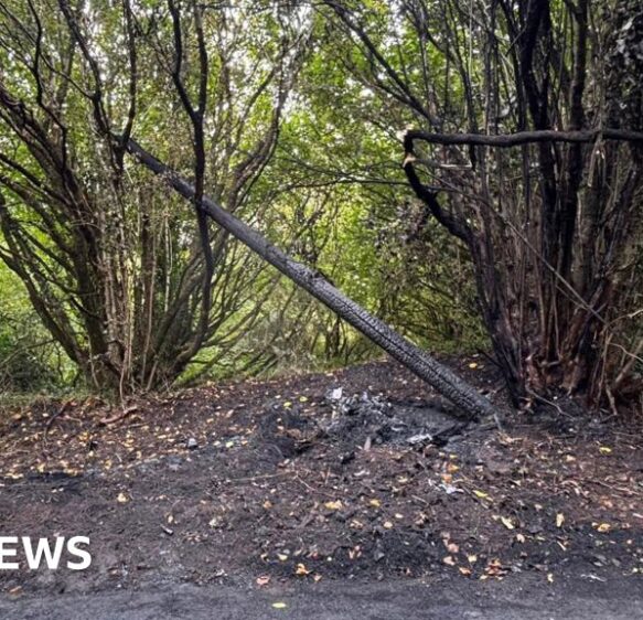 Beaminster broadband set to return after car crash outage