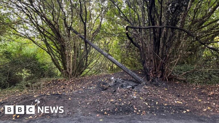 Read more about the article Beaminster broadband set to return after car crash outage