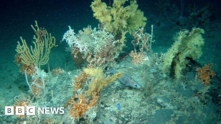 Read more about the article Plymouth scientists win £2m to use AI in deep-sea mapping