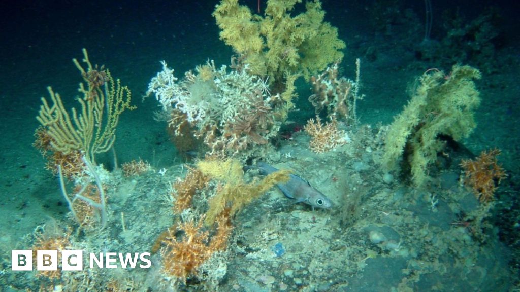 You are currently viewing Plymouth scientists win £2m to use AI in deep-sea mapping