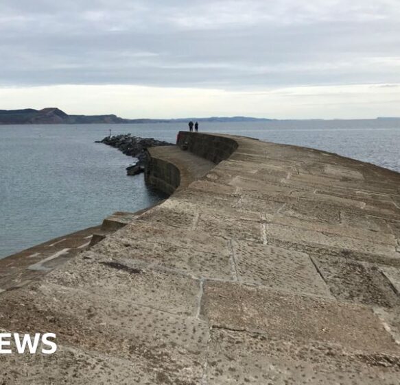Dorset Council proposes emergency repairs to harbour wall
