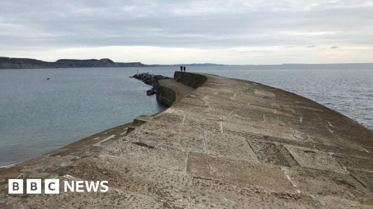 Read more about the article Dorset Council proposes emergency repairs to harbour wall