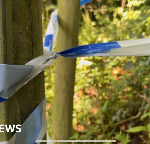 Police confirm ‘body’ found near Honiton was not human