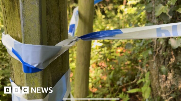 Read more about the article Police confirm ‘body’ found near Honiton was not human