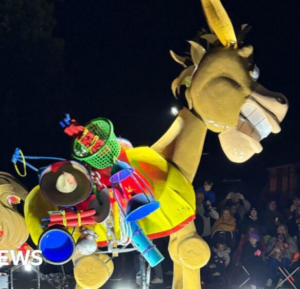 Carnival will try and make Somerset event more accessible