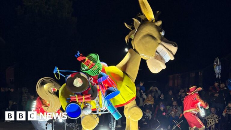 Read more about the article Carnival will try and make Somerset event more accessible