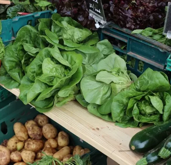 Quayside Farmers’ Market – Exeter Observer