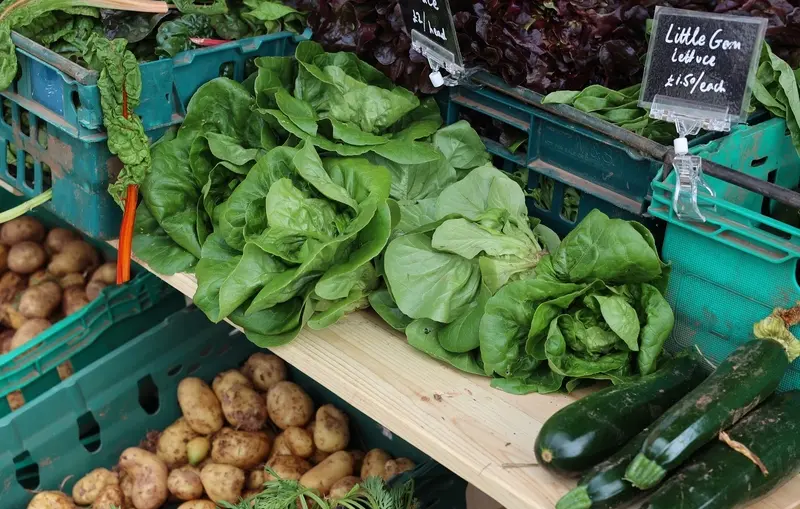 You are currently viewing Quayside Farmers’ Market – Exeter Observer