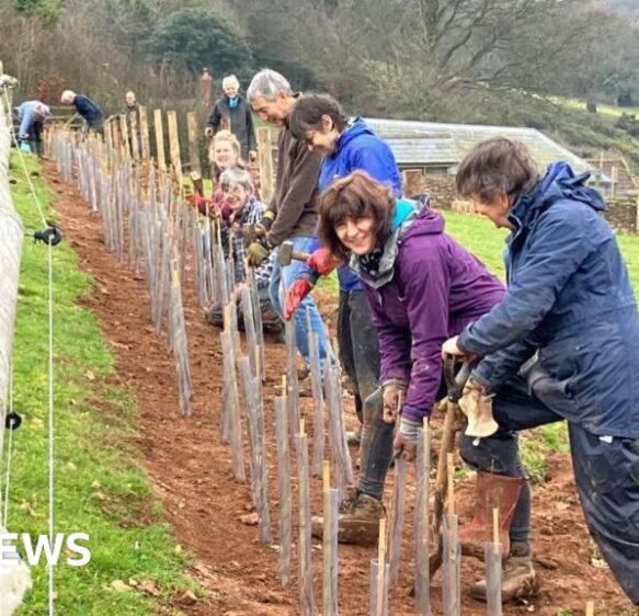 Flood prevention tree planting scheme looking for volunteers