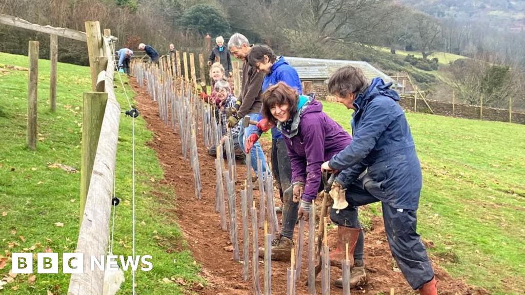 You are currently viewing Flood prevention tree planting scheme looking for volunteers