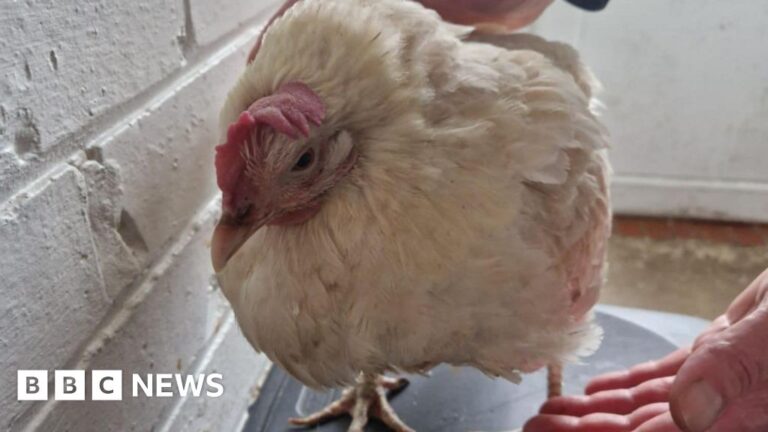 Read more about the article Five stories from the South you may have missed