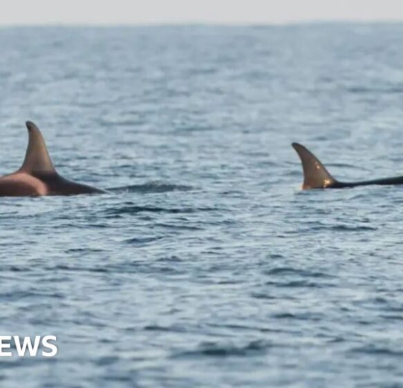 South West weekly news quiz – test your knowledge