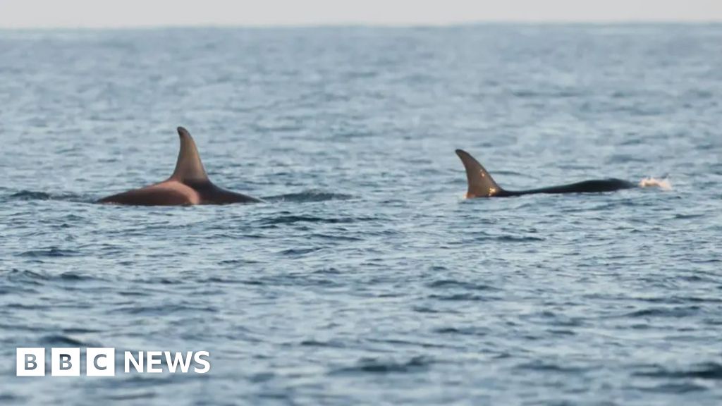 You are currently viewing South West weekly news quiz – test your knowledge