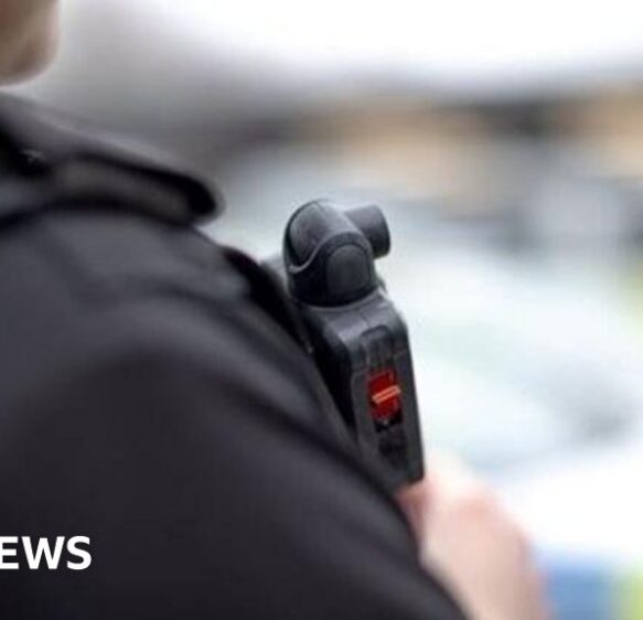 Teen and police officer bitten by dog at protest on Plymouth Hoe