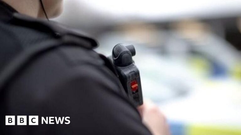 Read more about the article Teen and police officer bitten by dog at protest on Plymouth Hoe