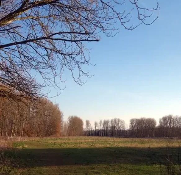 Botched consultation restarted on sale of 8.5 acres of Riverside Valley Park green space