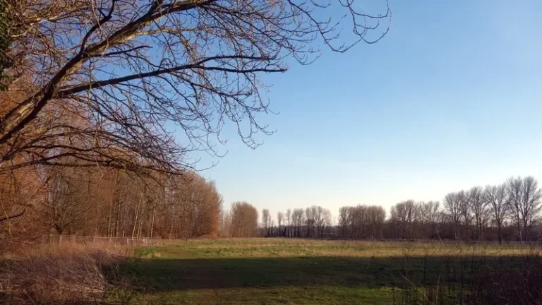 Read more about the article Botched consultation restarted on sale of 8.5 acres of Riverside Valley Park green space