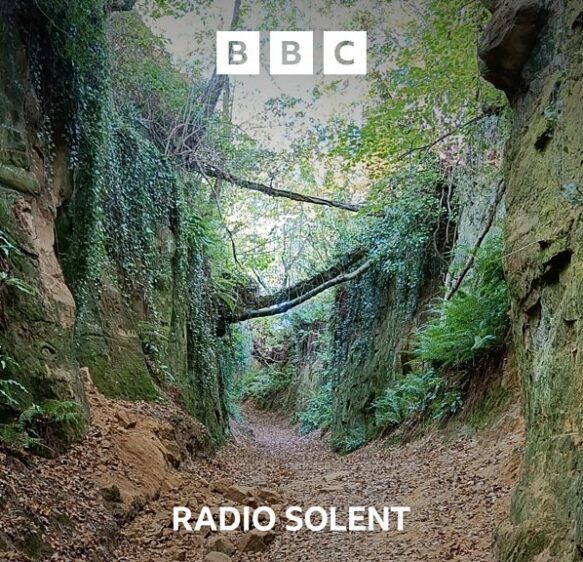 Secret Dorset – The mysterious network of sunken paths