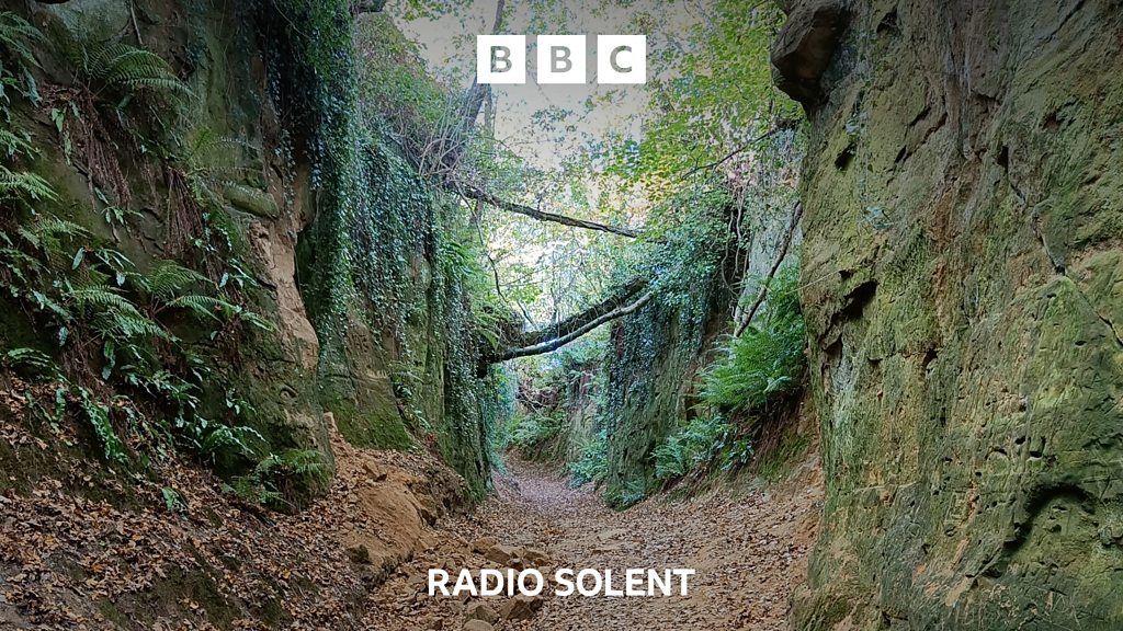 You are currently viewing Secret Dorset – The mysterious network of sunken paths