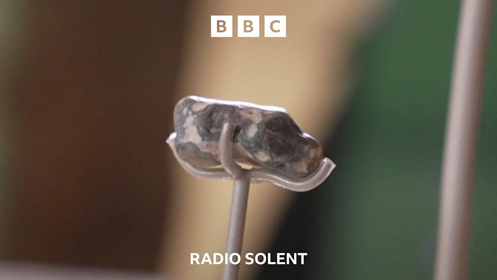 You are currently viewing Secret Dorset