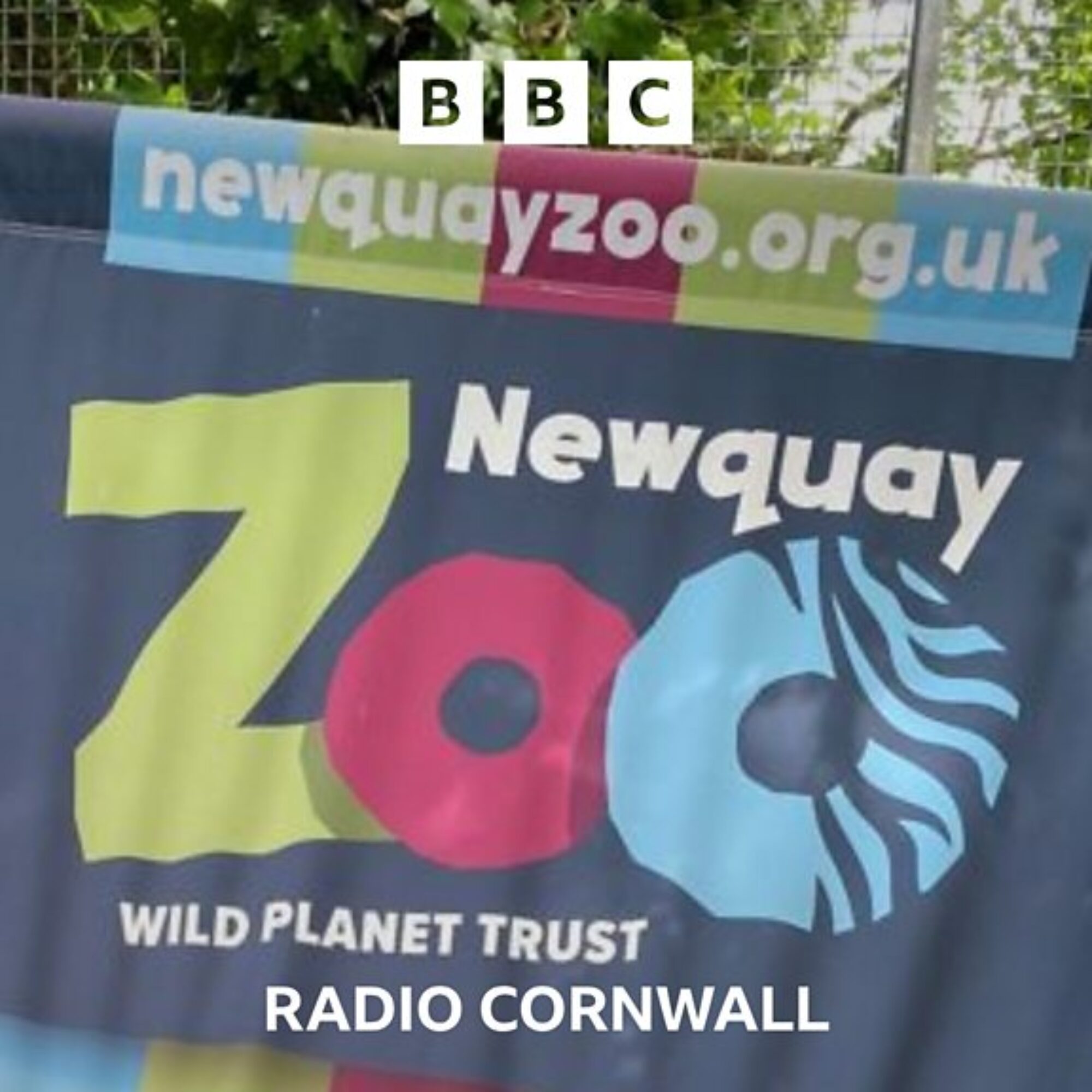 Newquay Zoo is up for sale