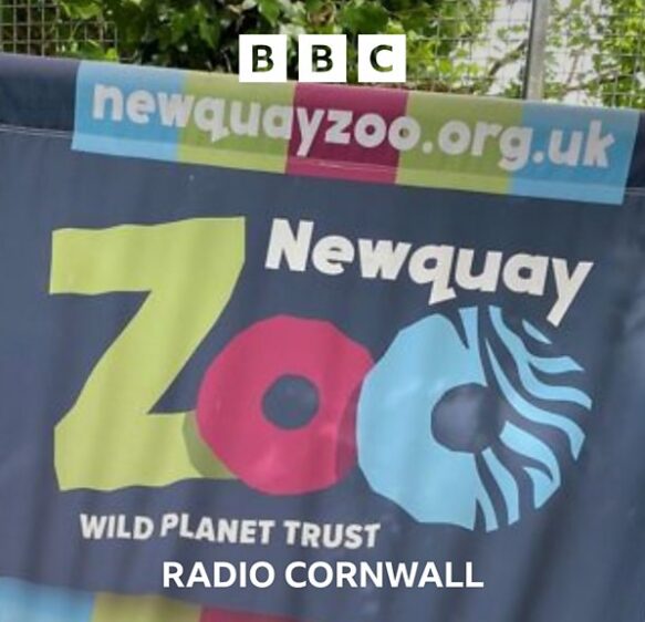 Newquay Zoo is up for sale