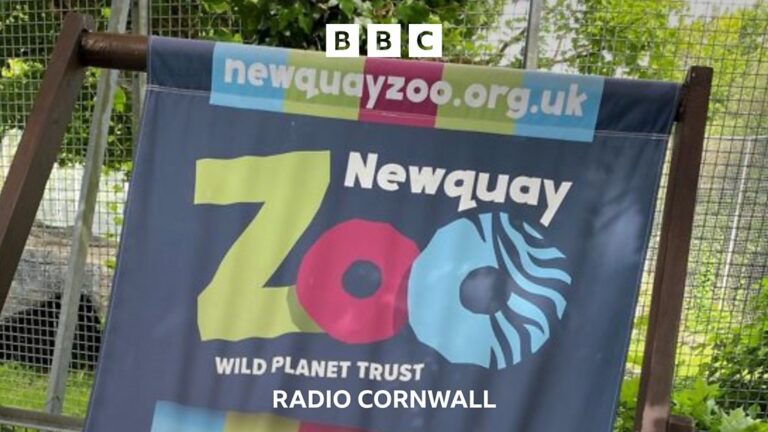 Read more about the article Newquay Zoo is up for sale
