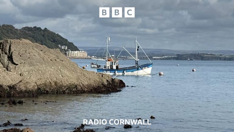 Read more about the article An Nowodhow – the News in Cornish