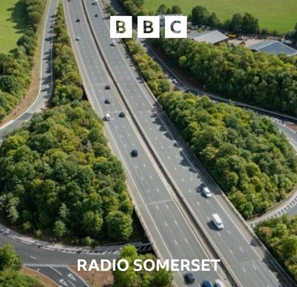 Need To Know Somerset