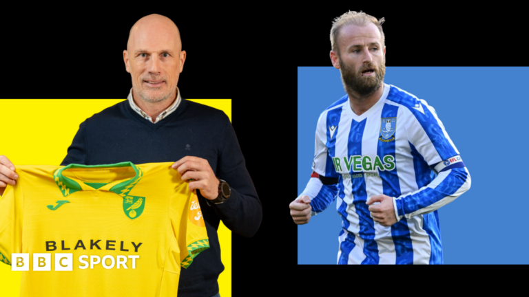Read more about the article Five things to look out for in the EFL: A Steel City struggle and Norwich City’s new era