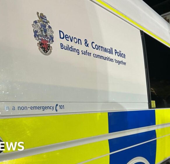 Attempted murder arrest after Plymouth stabbing