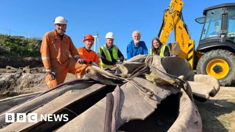 Read more about the article Why was a whale head excavated? Take the quiz