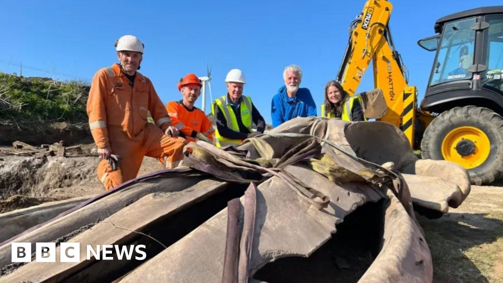 You are currently viewing Why was a whale head excavated? Take the quiz