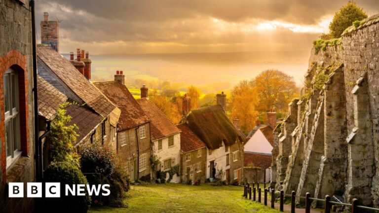 Read more about the article This week’s images from the south of England