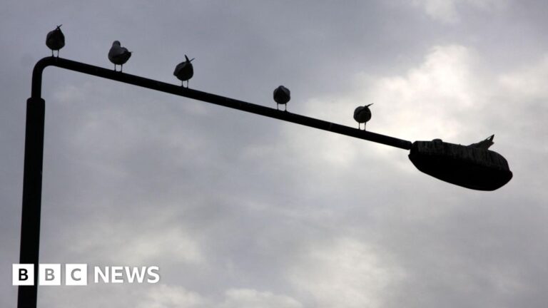 Read more about the article Council to make decision over future of Devon street light trial