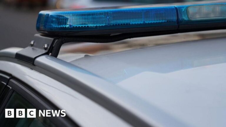 Read more about the article Seven arrests at pro-Palestine Action protest in Truro