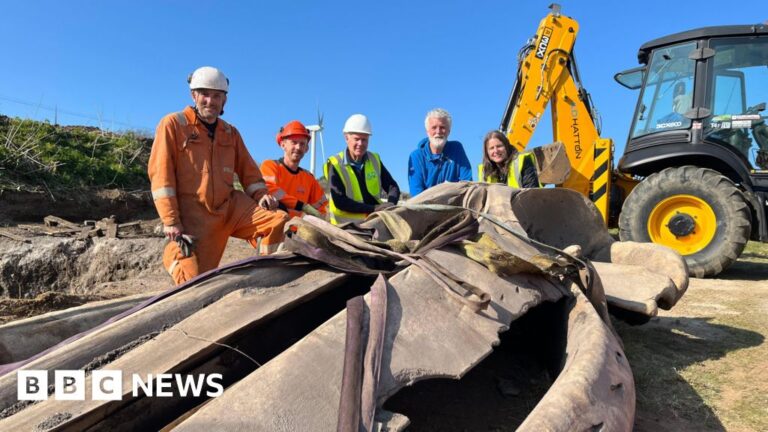Read more about the article Ten-hour mission to excavate huge whale head in Cornwall