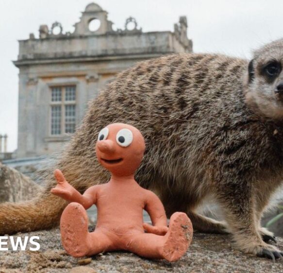 'Storm Claudia' and 'Morph meets meerkats'