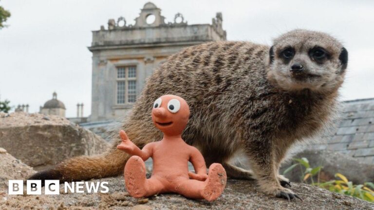 Read more about the article 'Storm Claudia' and 'Morph meets meerkats'