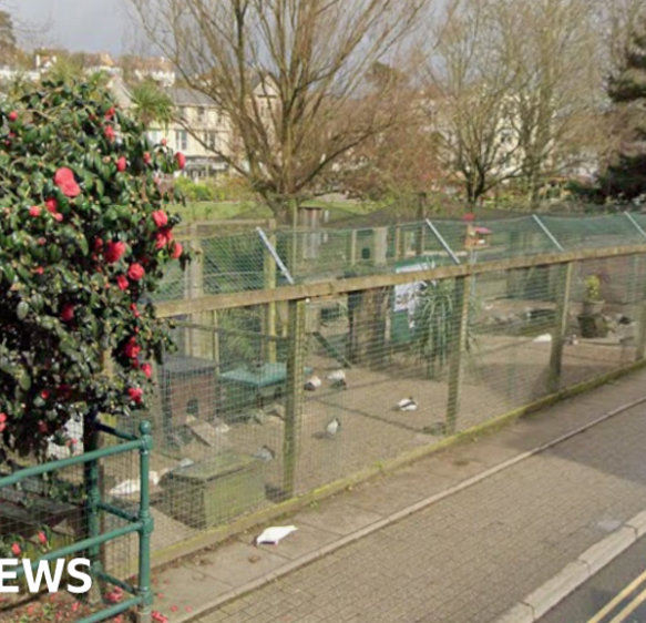Dawlish left ‘heartbroken’ after bird flu confirmed in aviary