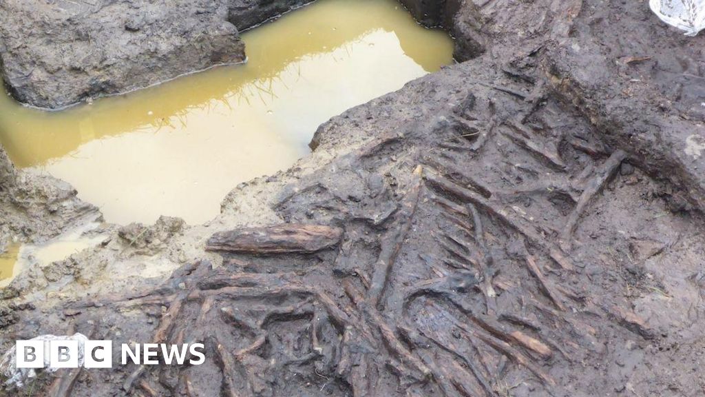 You are currently viewing Glastonbury Lake Village could be lost to climate change