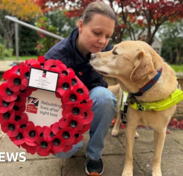 'Guide dog joins wreath-laying' and 'doctors' strike'