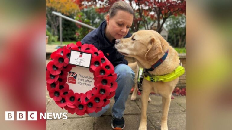 Read more about the article 'Guide dog joins wreath-laying' and 'doctors' strike'